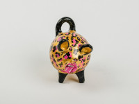 Nicole Reiss Rendic, Chancha salvaje